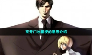 双开门冰箱梗的意思介绍