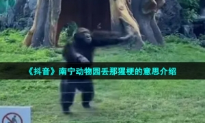 《抖音》南宁动物园丢那猩梗的意思介绍