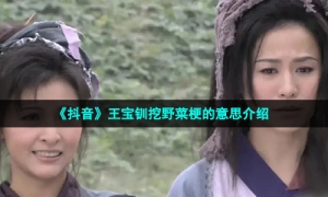 《抖音》王宝钏挖野菜梗的意思介绍