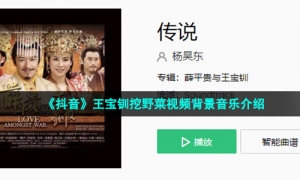 《抖音》王宝钏挖野菜视频背景音乐介绍