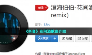 《抖音》花间酒歌曲介绍