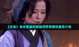 《抖音》给恋爱脑的姐妹挖野菜梗的意思介绍