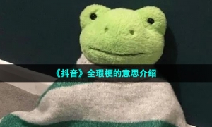 《抖音》全瑕梗的意思介绍