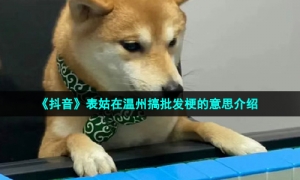 《抖音》表姑在温州搞批发梗的意思介绍