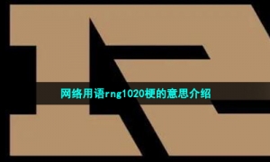 网络用语rng1020梗的意思介绍