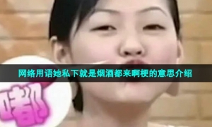 网络用语她私下就是烟酒都来啊梗的意思介绍