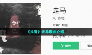 《抖音》走马歌曲介绍