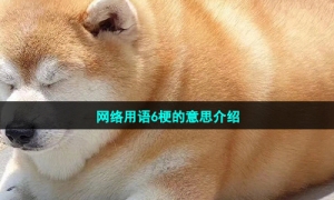 网络用语6梗的意思介绍