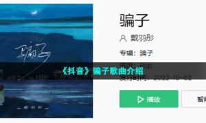 《抖音》骗子歌曲介绍