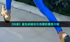 《抖音》蓝色妖姬切尔西梗的意思介绍