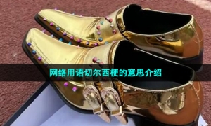 网络用语切尔西梗的意思介绍