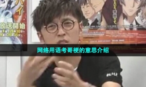 网络用语考哥梗的意思介绍