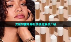 安陵容蕾哈娜化学梗的意思介绍