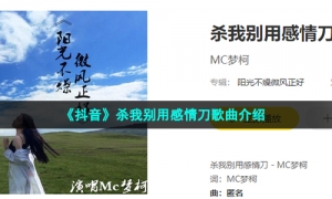《抖音》杀我别用感情刀歌曲介绍