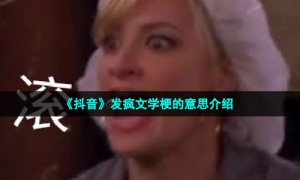 《抖音》发疯文学梗的意思介绍