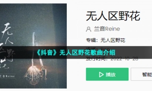 《抖音》无人区野花歌曲介绍