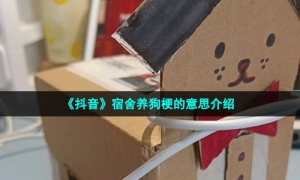 《抖音》宿舍养狗梗的意思介绍