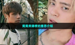 菀菀类猪梗的意思介绍