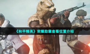 《和平精英》荣耀勋章查看位置介绍