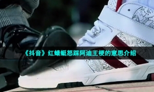 《抖音》红蜻蜓怒踩阿迪王梗的意思介绍