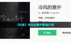 《抖音》冷风的意外歌曲介绍