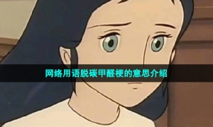 网络用语脱碳甲醛梗的意思介绍