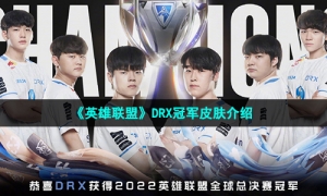 《英雄联盟》DRX冠军皮肤介绍
