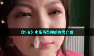 《抖音》水晶吊坠梗的意思介绍