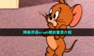 网络用语crush梗的意思介绍