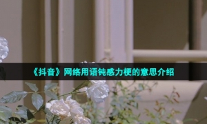 《抖音》网络用语钝感力梗的意思介绍