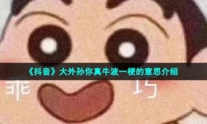 《抖音》大外孙你真牛波一梗的意思介绍