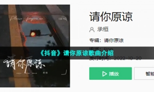《抖音》请你原谅歌曲介绍