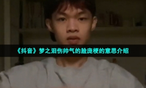 《抖音》梦之泪伤帅气的脸庞梗的意思介绍