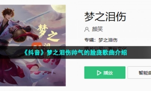 《抖音》梦之泪伤帅气的脸庞歌曲介绍