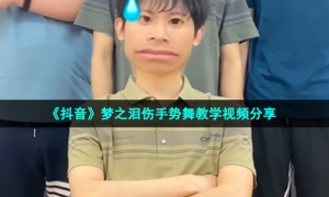 《抖音》梦之泪伤手势舞教学视频分享