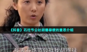《抖音》石圪节公社胡德禄梗的意思介绍
