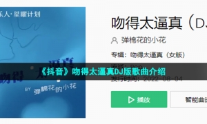 《抖音》吻得太逼真DJ版歌曲介绍