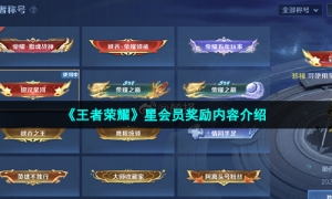 《王者荣耀》星会员奖励内容介绍