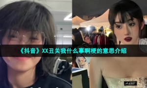 《抖音》XX丑关我什么事啊梗的意思介绍