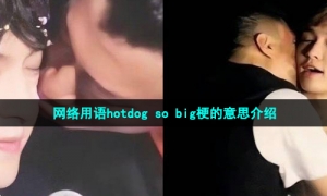 网络用语hotdog so big梗的意思介绍