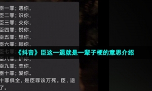 《抖音》臣这一退就是一辈子梗的意思介绍