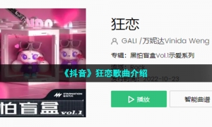 《抖音》狂恋歌曲介绍