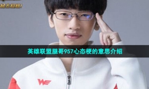 英雄联盟腿哥957心态梗的意思介绍