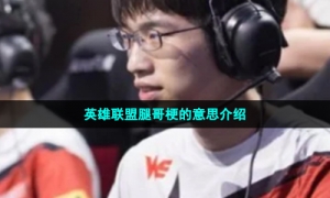 英雄联盟腿哥梗的意思介绍