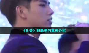 《抖音》阿瑟梗的意思介绍