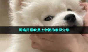网络用语我是上帝梗的意思介绍