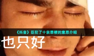 《抖音》臣犯了十宗罪梗的意思介绍