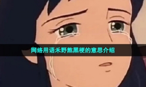 网络用语禾野熬黑梗的意思介绍