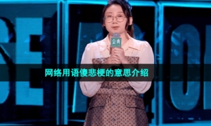 网络用语傻悲梗的意思介绍