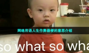 网络用语人生作弊器梗的意思介绍